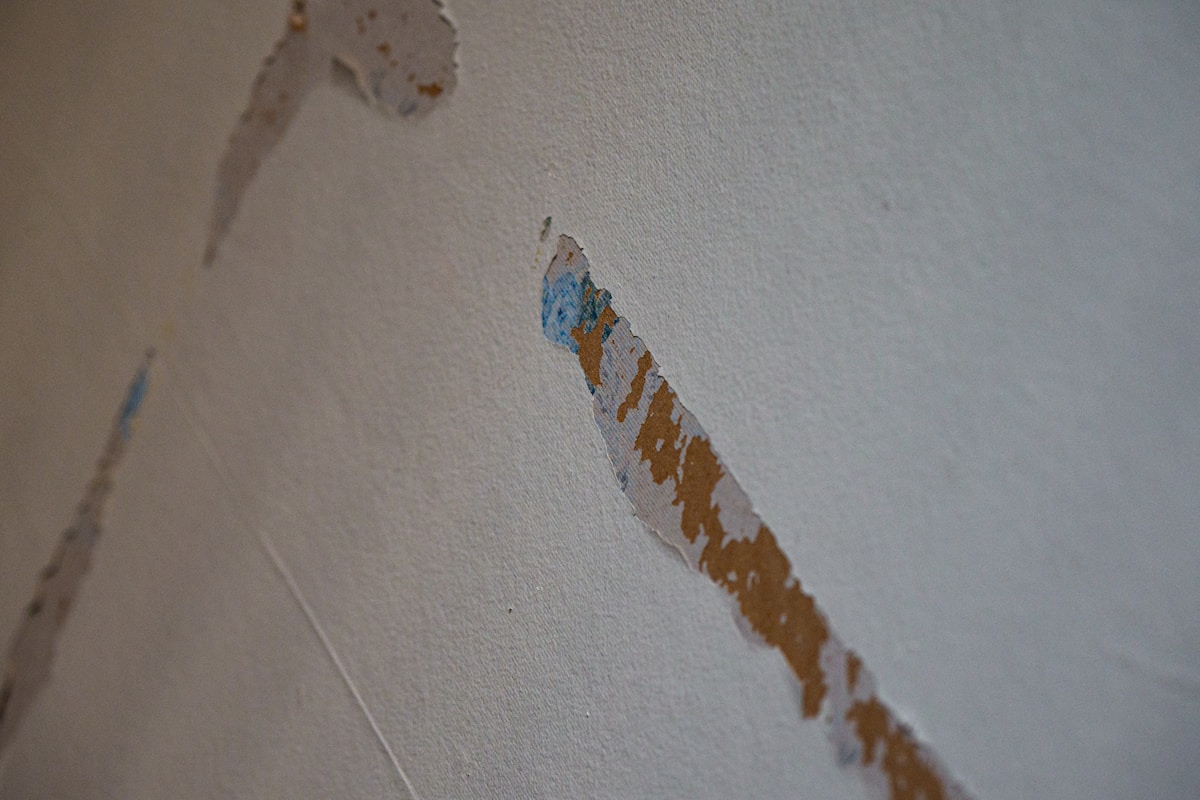 Flood Cleanup service in Gilbert, AZ